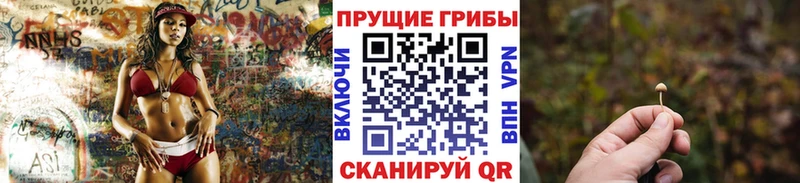 Псилоцибиновые грибы Magic Shrooms магазин блэк спрут онион Реутов