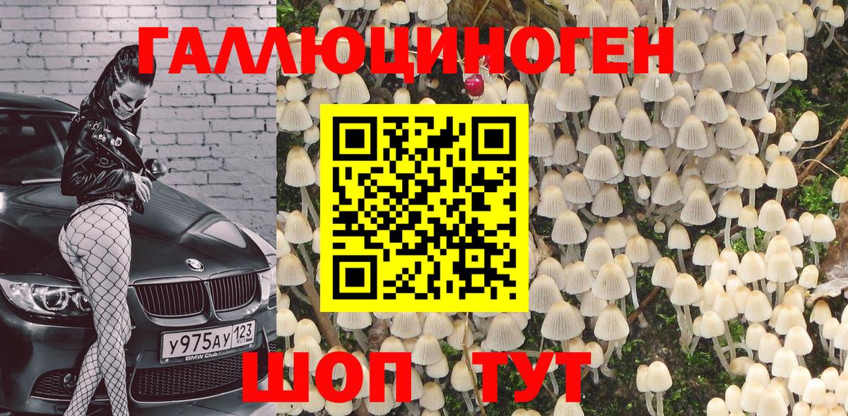 Галлюциногенные грибы Psilocybine cubensis Реутов